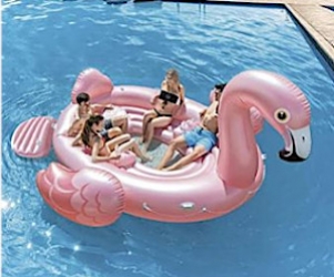 flamingo badeinsel