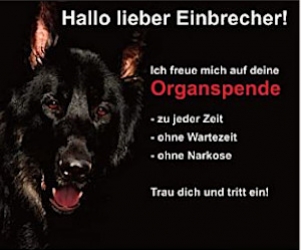 warnung vor dem hund schild 1